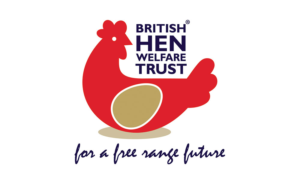 British Hen Welfare Trust Feature