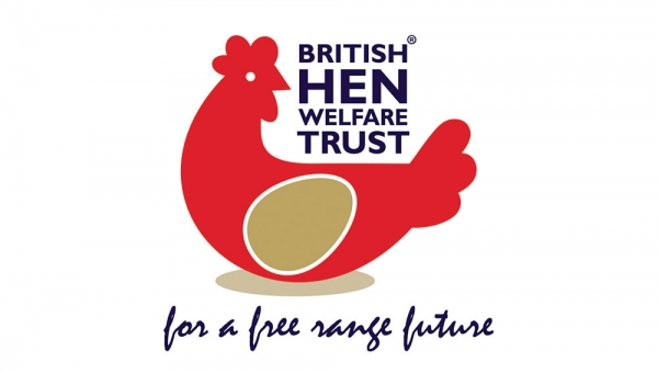 British Hen Welfare Trust Feature